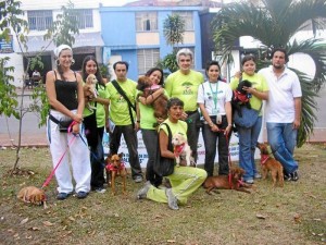 Miembros de las fundaciones algunas de las jornadas de adopción de perros en Bucaramanga.