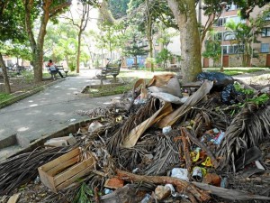 Las basuras y escombros son otros elementos que dan mal aspecto al parque Conucos.