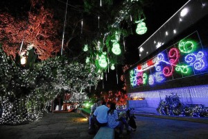 Entre los atractivos de Navidad del Parque del Agua está un árbol de 24 metros de altura.