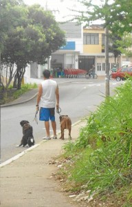 A diario se ven escenas como estas en Cabecera. La Periodista del Ba-rrio pide más control por parte de la Alcaldía y duras sanciones para los dueños de mascotas.