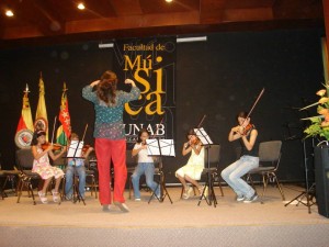 Los interesados en participar en el Festival Instrumentos de Arco de la Unab pueden inscribirse desde ya.