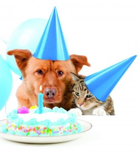 Tomada de www.petshopmagazine.com.br / GENTE DE CABECERA Será una fiesta divertida para las mascotas.