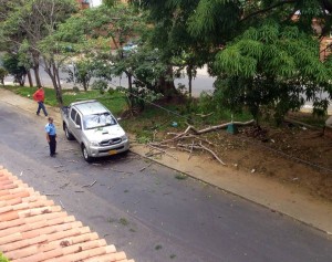 En la imagen se ve el vehículo que quedó entre las ramas. - Suministrada / GENTE DE CABECERA