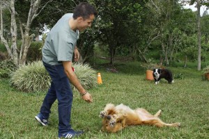 Daniel entrenando a sus perros en una finca de La Mesa de Los Santos.
