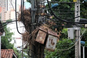 Los nidos de pájaros y el exceso de cables afean el panorama de las calles de Cabecera. - Javier Gutiérrez / GENTE DE CABECERA