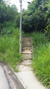 Estas son las escaleras que comunican a Los Cedros y Pan de Azúcar. - Suministrada / GENTE DE CABECERA