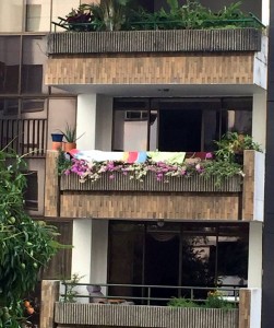 La ciudadana califica como “vergonzoso” el panorama desde su apartamento hacia este balcón. - Suministrada / GENTE DE CABECERA