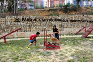 Este jueves se abrió al público el parque Carlos Virviescas Pinzón, ubicado en la carrera 40 entre calles 42 y 46. - Fabián Hernández / GENTE DE CABECERA
