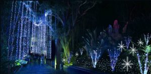 Un maravilloso espectáculo de luces, árboles y adornos navideños llega al Parque del Agua