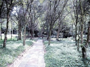 Parque La Flora