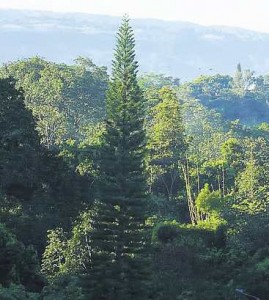 Cerros Orientales de Bucaramanga