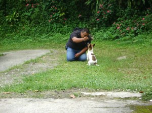 Un perro se convierte en una gran compañia.