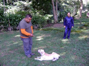 Un buen perro dueño feliz.