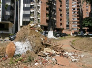 Los perros tomarón el parque como sanitario