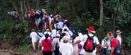 Caminata entre mariposas