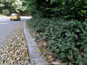 Cruce de Conucos, el puente La Flora y la carretera que viene del viaducto García Cadena.