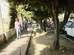 Malos olores reinan en estos andenes que rodean el Club Unión, por la calle 50.