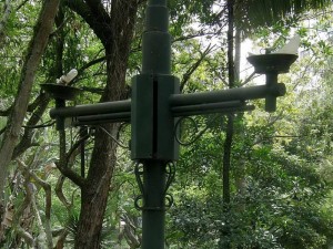 ¿Quién se atreve a meterse en esta nube oscura que inunda al parque después de las 9 p. m.? 