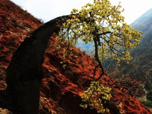 Exposición 'El Encanto de Santurbán' y Los 'Fantasmas del Chicamocha'