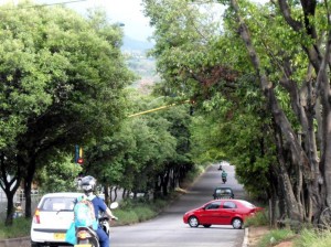 Un punto crítico del recorrido que menciona la Periodista de Barrio es justo en el semáforo, donde las ramas tapan las luces.