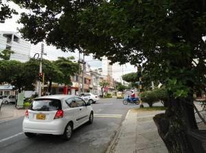 En otra parte de la ciudad sucede lo mismo con las ramas de los árboles. Se trata del semáforo de la carrera 36 con calle 41.