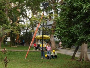 Las peticiones de los visitantes y vecinos del parque San Pío tuvieron alfin eco.