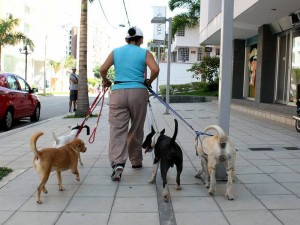 La foto es una ilustracion.