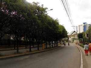 El otro punto es llegando a la iglesia Cristo Misionero, sentido norte sur. Allí las ramas tapan las luminarias de los separadores.