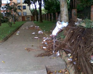 Basuras en el parque de Conucos.