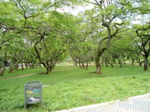 Esta foto del parque San Pío fue tomada el Viernes Santo, hacia el mediodía. 