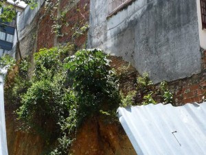 La humedad del lote poco a poco se toma las edificaciones aledañas