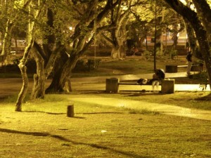 Parques están bien dotados de luz.