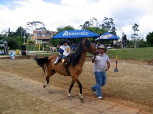 El X Festival Equino