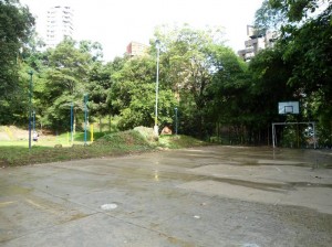 Lo único que falta por recoger es este arrume de podas, al lado de la cancha.