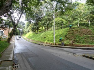 Hacen trabajos desde esta semana para deshierbar la pequeña loma.