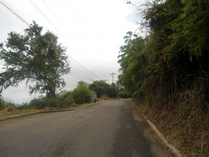 Problema generado por la maleza que se tomaba la vía entre Pan de Azúcar y Terrazas.