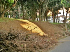 Sería muy bueno que nos pusieran más vigilancia en la zona.