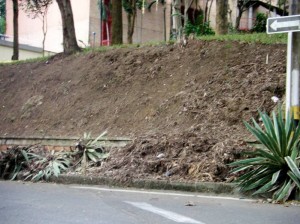 Sería muy bueno que nos pusieran más vigilancia en la zona.