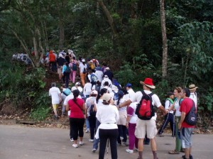 En el marco de la campaña ‘Yo me muevo por el Tdah y tú’ que lidera la Fundación Camino Claro se programó una caminata.