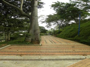 Los corredores del parque volvieron a lucir limpios.