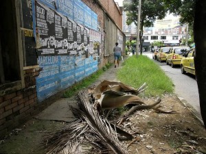 Lleno de maleza y basuras permanece desde hace tiempos el andén de la calle 51 entre 32 y 33.