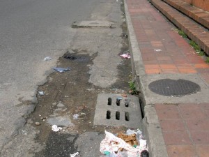 Al parecer la sacan antes de tiempo y los olores y animales no dan espera para llegar. (Jaime Del Río).