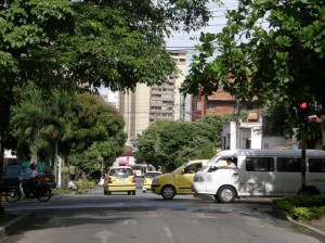 Las ramas de los árboles no permiten ver el semáforo de la calle 41 con 35.