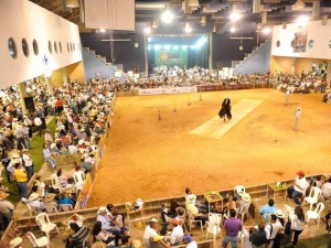 La exhibición equina tendrá lugar este fin de semana.