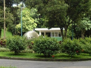 En la zona se quejan por las bolsas de basura que dejan en el gimnasio ubicado detrás del CAI Terrazas. (Tatiana Celis).