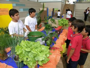 Los estudiantes demostraron los alcances de su creatividad.