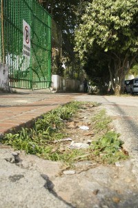 Muchos andenes están en mal estado, otros más altos, invadidos por carros o llenos de maleza.