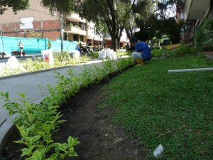 El jardín de la Acción Católica fue limpiado esta semana.