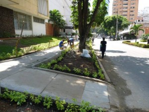  En el jardín también se sembraron algunas especies florales que se esperan conservar.