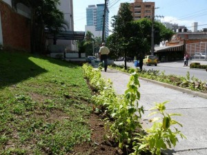 Junto a los andenes, el jardín da un aspecto más amable a la zona.